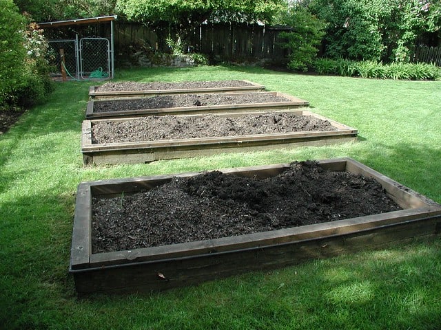 Square Foot Gardening: A Simple, Efficient Approach to Growing Vegetables