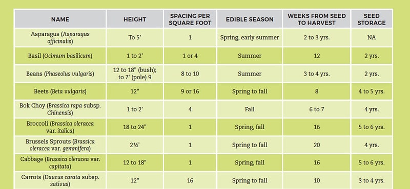 Square Foot Gardening: A Simple, Efficient Approach to Growing Vegetables