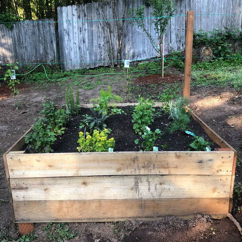 Square Foot Gardening: A Simple, Efficient Approach to Growing Vegetables