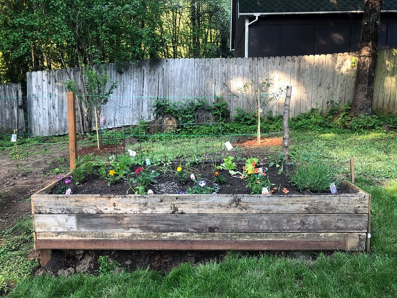 Square Foot Gardening: A Simple, Efficient Approach to Growing Vegetables