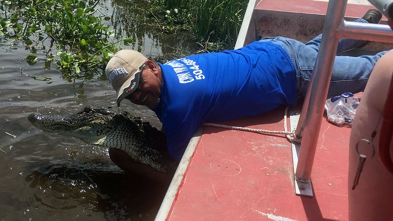 RV Trip Cost Breakdown: A Detailed Look at U.S. Travel Expenses