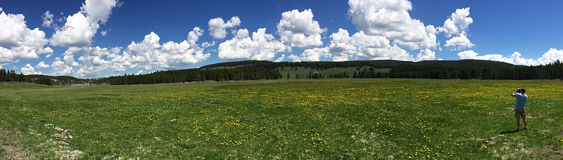 RV Trip Cost Breakdown: A Detailed Look at U.S. Travel Expenses