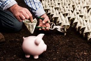 Navigating Economic Cycles: A Guide to Profitable Investing