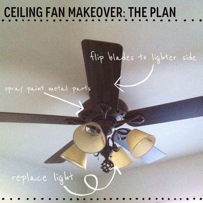 Affordable Ceiling Fan Upgrade: A Home Renovation Story