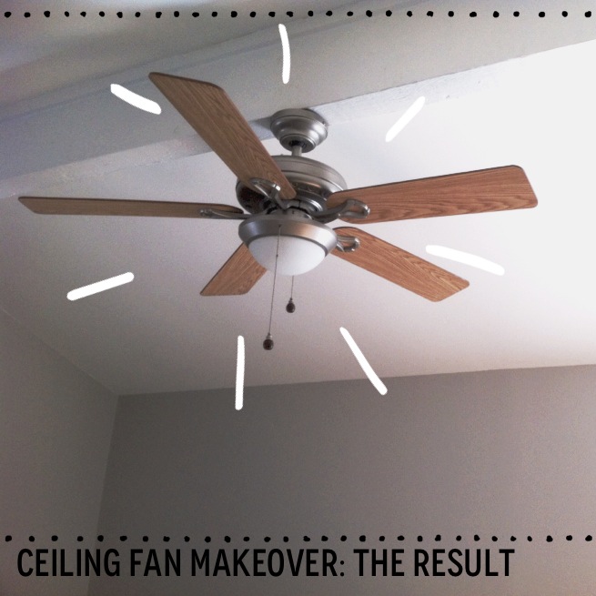 Affordable Ceiling Fan Upgrade: A Home Renovation Story
