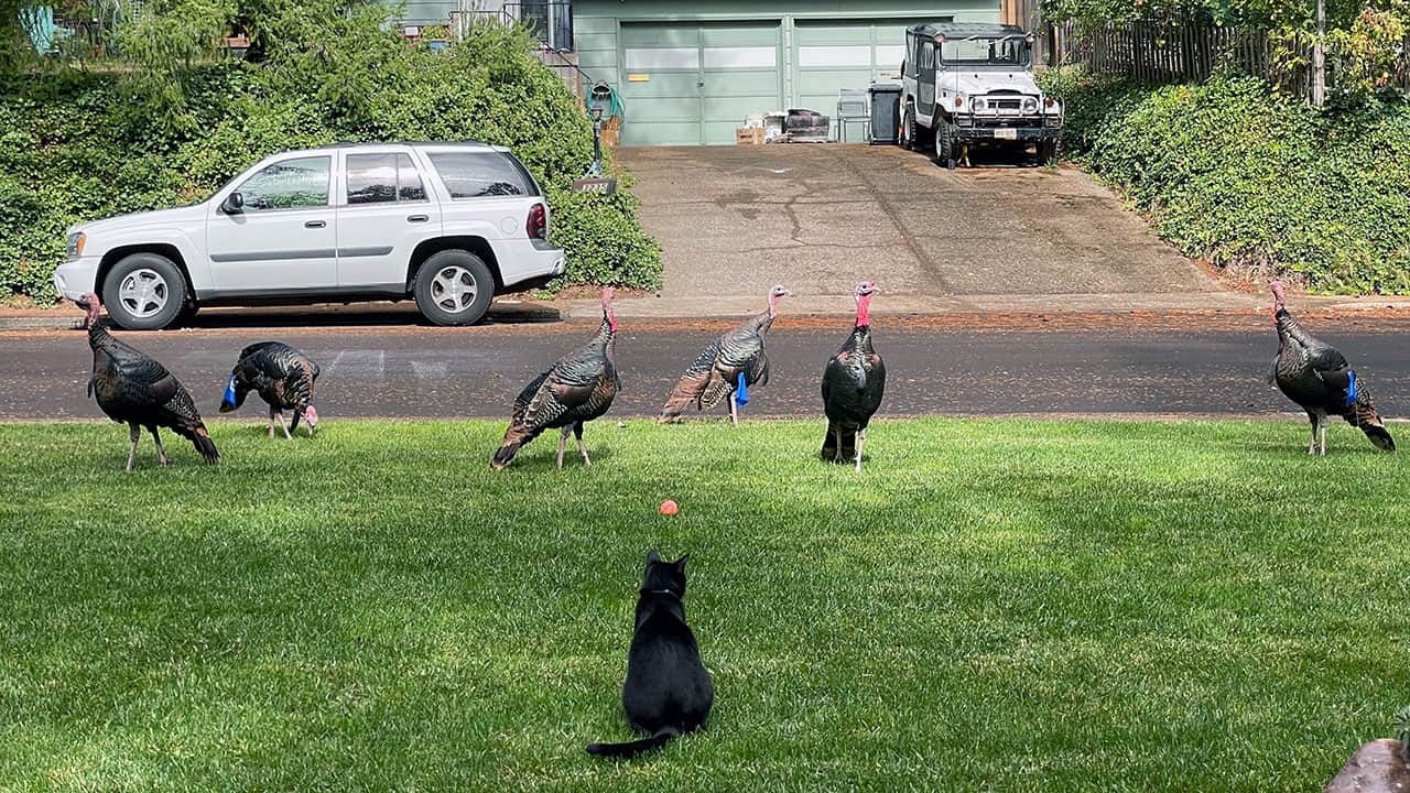 Navigating Your First Rental Property: A Real-Life Story