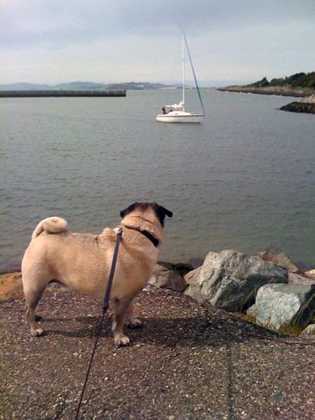 Early Retirement Extreme: A 10-Year Update on Financial Independence & Lifestyle Design