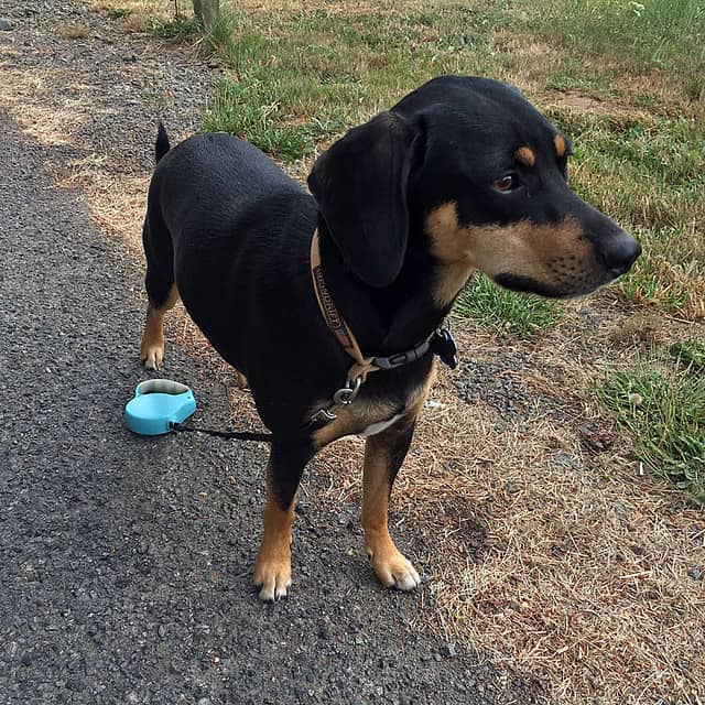 Investing vs. Speculation: Understanding the Key Differences