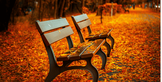 Alternative Investments: Diversify Beyond the Stock Market