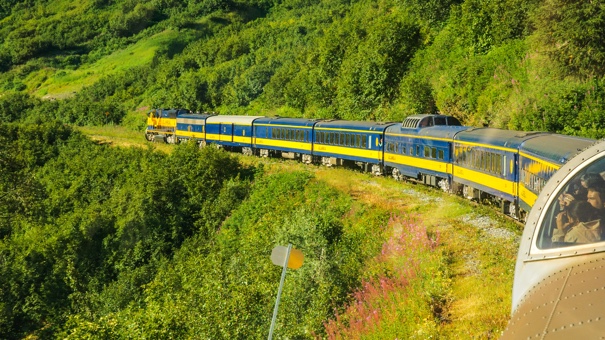 Best Train Journeys in the USA: Scenic Routes & Experiences