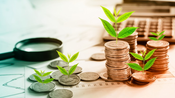 Investing in Mutual Funds: A Comprehensive Guide for Beginners