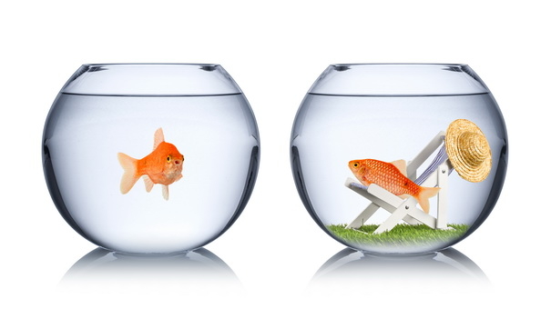 Financial Insights: Key Money Lessons from Successful Families