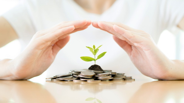 Recovering from Bankruptcy: A Step-by-Step Guide