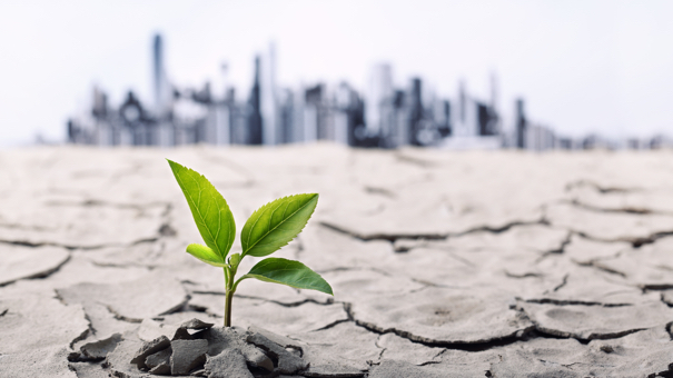 Climate Change & Your Finances: 6 Potential Financial Impacts