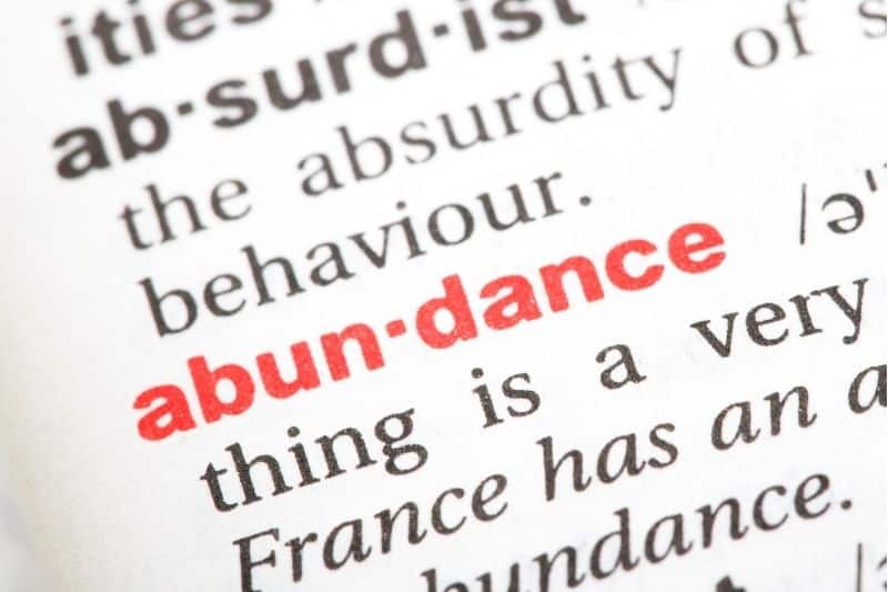 Cultivate Abundance: A Guide to Developing a Powerful Mindset