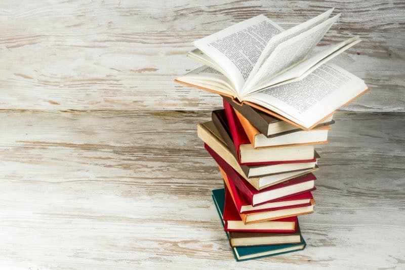 Top 9 Blogging Books to Launch & Grow Your Blog | [Year]