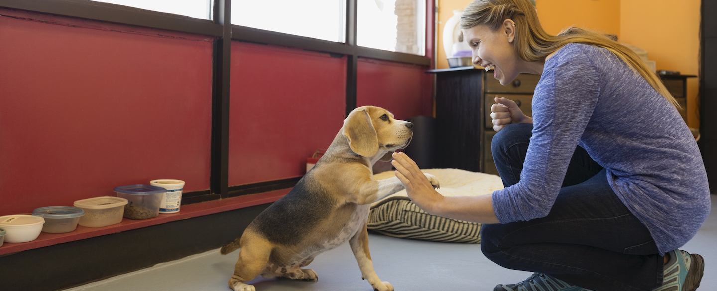 Understanding Self-Employment Tax Forms: A Comprehensive Guide