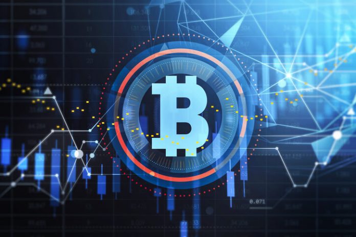 Bitcoin Trading: Essential Concepts for Beginners (2024)
