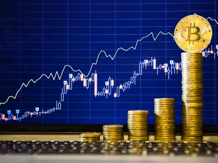 Crypto Hedge Funds: Navigating the Emerging Market