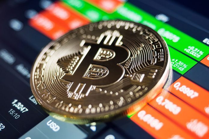 Bitcoin Trading Software: Beginner-Friendly Platforms & Strategies