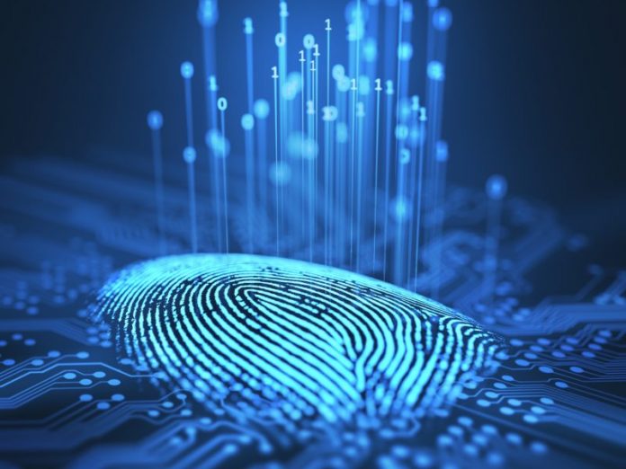 Blockchain for Identity Verification: A Secure and Innovative Approach