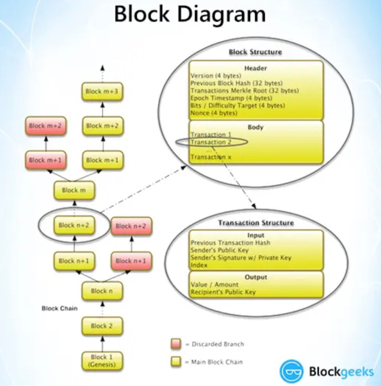 Bitcoin Cash (BCH): A Comprehensive Overview - What You Need to Know