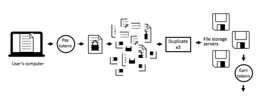 Siacoin (SIA): Understanding the Decentralized Cloud Storage Token