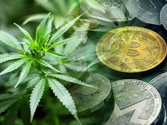 Understanding the Intersection of Cryptocurrency and CBD