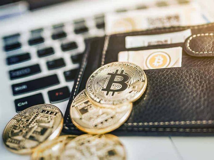 Bitcoin for Beginners: 5 Essential Things to Know Before Investing