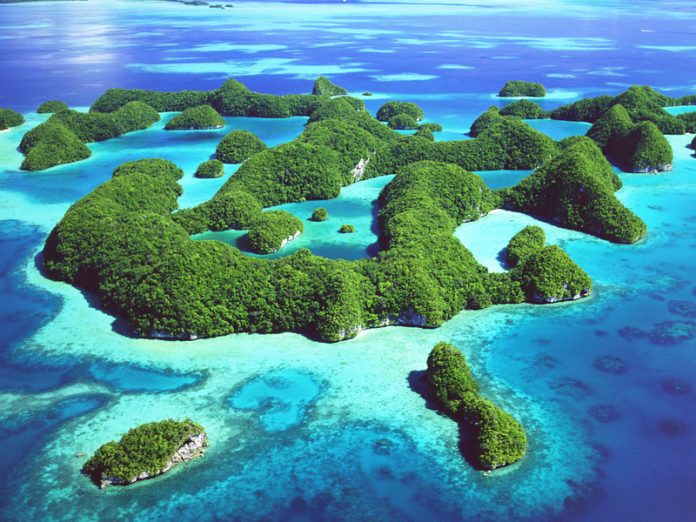 Top Banking Methods in Oceania: Security, Speed & Reliability