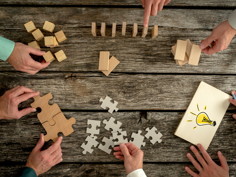 Execute & Optimize: Leveraging Functional Expertise for Strategic Success