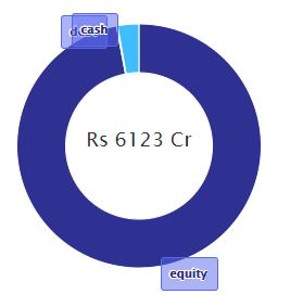 Large-Cap vs. Small-Cap Mutual Funds: A Performance Comparison