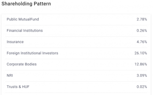 Indian Stock Market: 10 Stocks Reaching 52-Week Highs - Investment Potential?