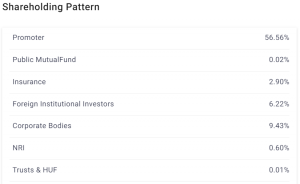 Indian Stock Market: 10 Stocks Reaching 52-Week Highs - Investment Potential?