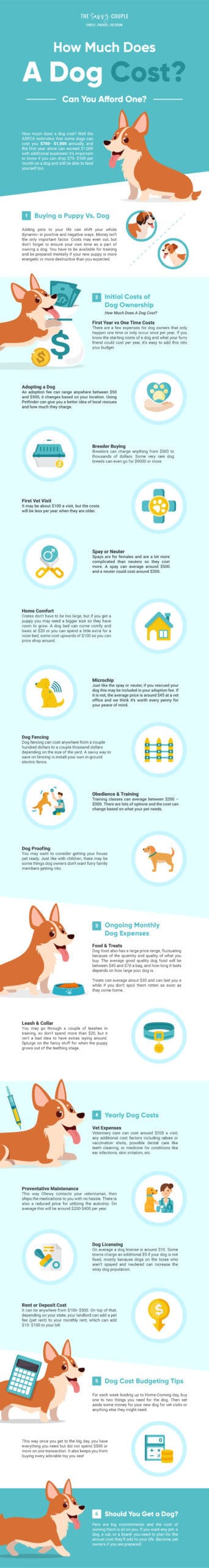 The True Cost of Dog Ownership: Can You Afford a Canine Companion?