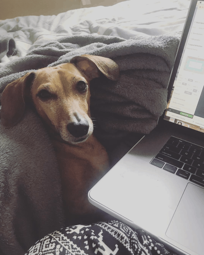 Escape Debt: How Teachers Paid Off $60,000 & Found Work-From-Home Freedom