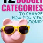 Essential Budget Categories: A Comprehensive Guide for Financial Freedom