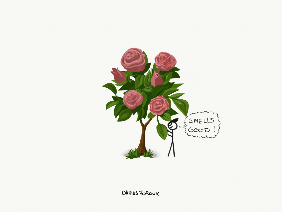 Daily Reminders for a Better Life: 14 Essential Truths