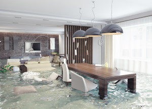 Homeowner s Insurance: Understanding Earthquake & Flood Coverage Gaps