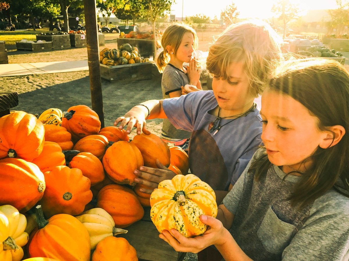 Budget-Friendly Fall Activities: Enjoy Autumn Without Breaking the Bank