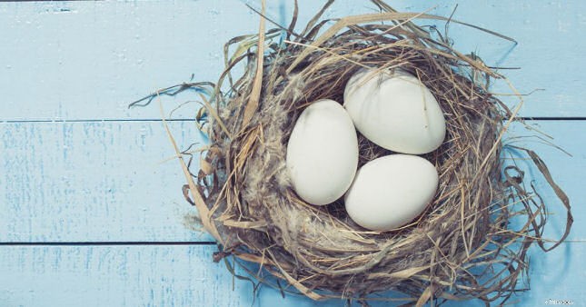 SEP IRA: Employer-Sponsored Retirement Plan Explained & Contribution Limits