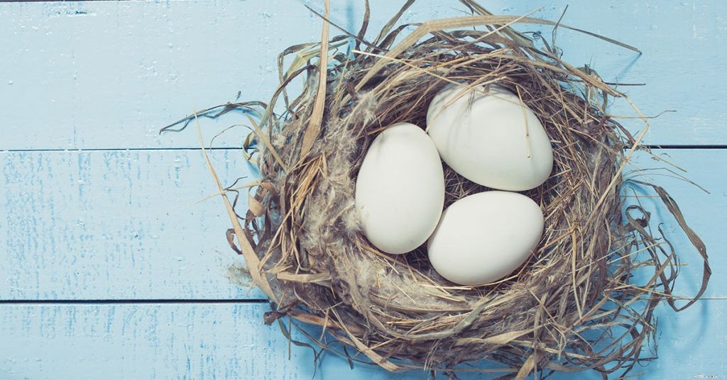 Understanding Z-IRAs: A Comprehensive Guide to Retirement Savings