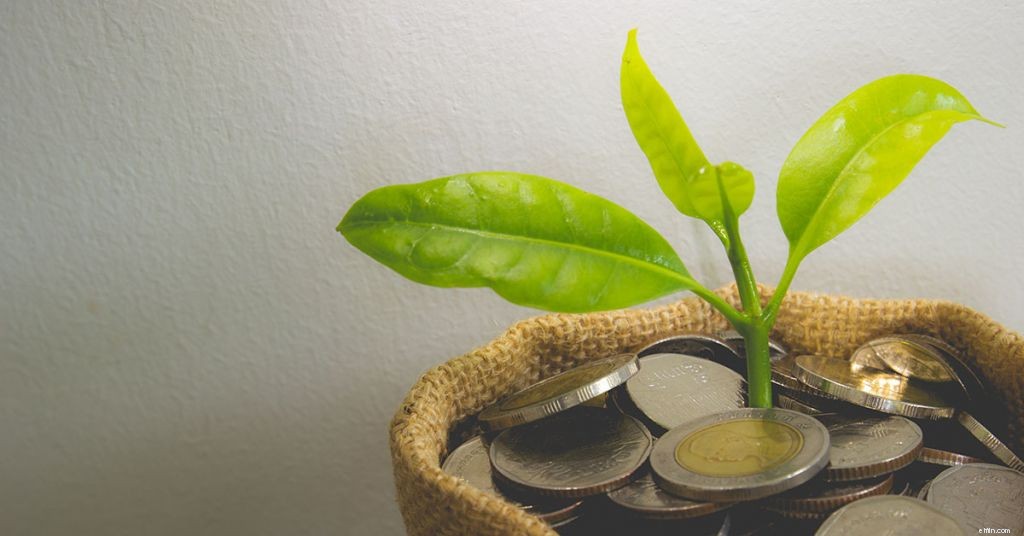 Understanding Investment Options: A Comprehensive Guide