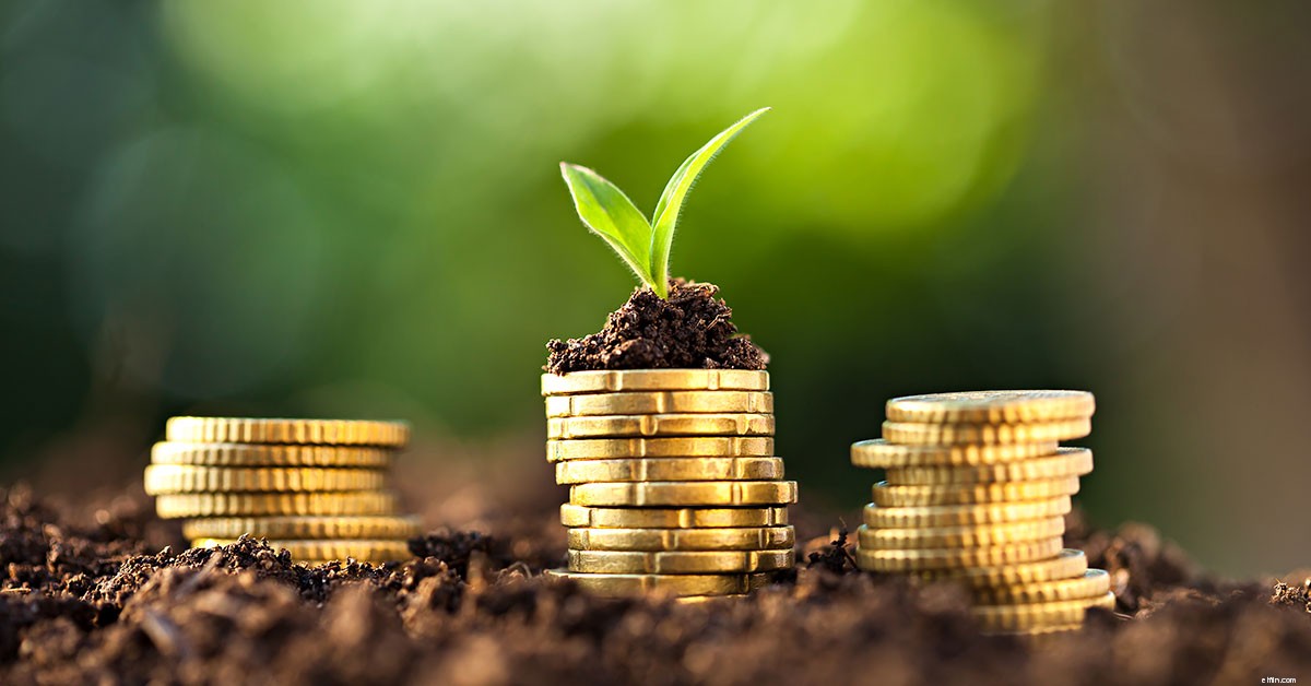 Mastering Investment Decisions: Strategies for Financial Success