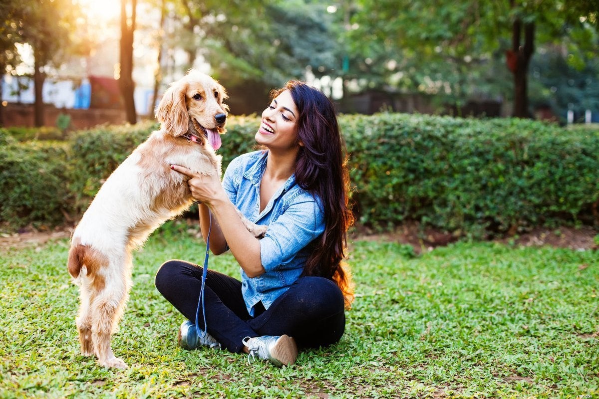 Costco for Pet Owners: Exclusive Savings on Food, Supplies & Insurance