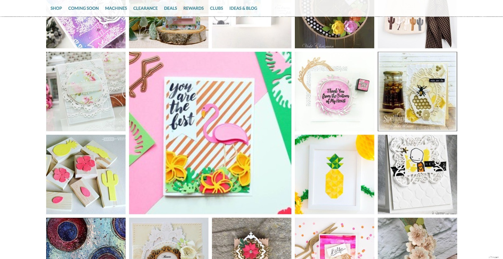 Launch a Successful Influencer Program: A 6-Month Blueprint (Budget-Friendly)