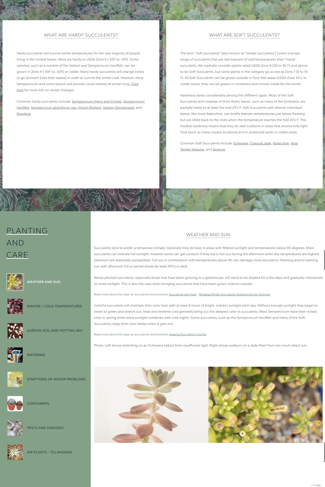 Media Pitching for Ecommerce: Strategies & Examples to Get Responses