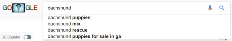 Ecommerce SEO: A Comprehensive Guide to Drive Organic Traffic in 2024