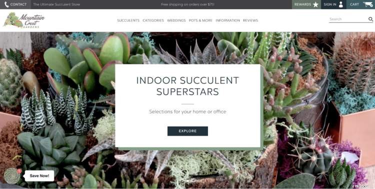 How Amazon Pay Enhances Customer Experience: Insights from 5 Leading Brands
