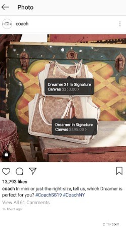 Monetize Your Instagram: A Guide for Businesses